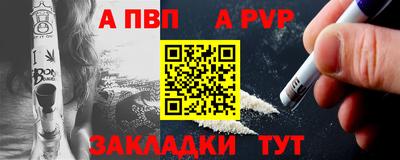 дурь Кингисепп